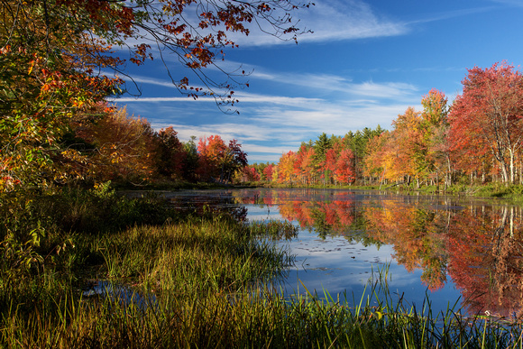 Fall Colors Near Lake Ossipee