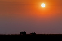 Sunset on the Chobe River.