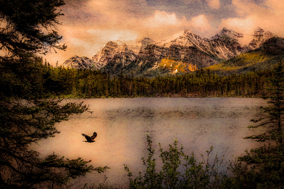 Lake Herbert Early Morning, Banff