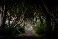 The Dark Hedges, County Antrim, Northern Ireland