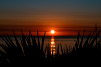 Palm Coast sunrise III