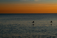 Palm Coast sunrise II